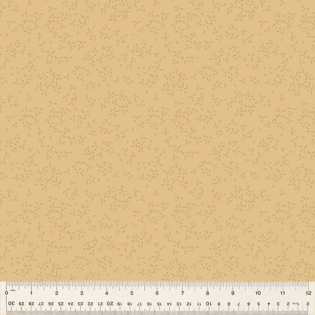 54687-16-1-015Ud000004ouCoIAI.jpg