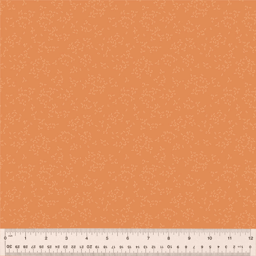 54687-20-1-015Ud000004otBvIAI.jpg
