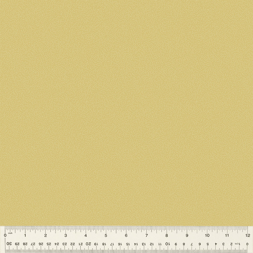 54688-24-1-015Ud000004otF9IAI.jpg