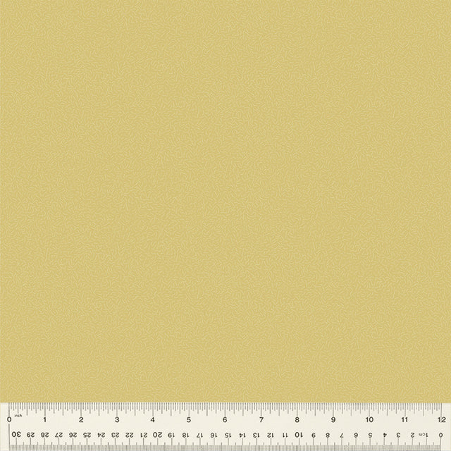 54688-24-1-015Ud000004otF9IAI.jpg