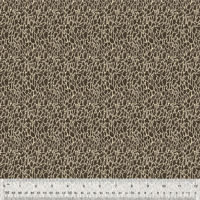 54776D-10-1-015Ud000004p6h0IAA.jpg