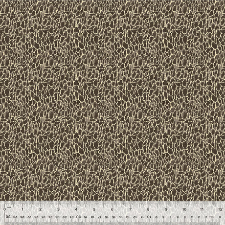 54776D-10-1-015Ud000004p6h0IAA.jpg