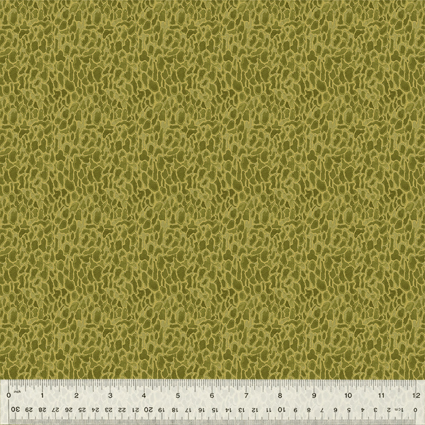 54776D-11-1-015Ud000004p6lqIAA.jpg