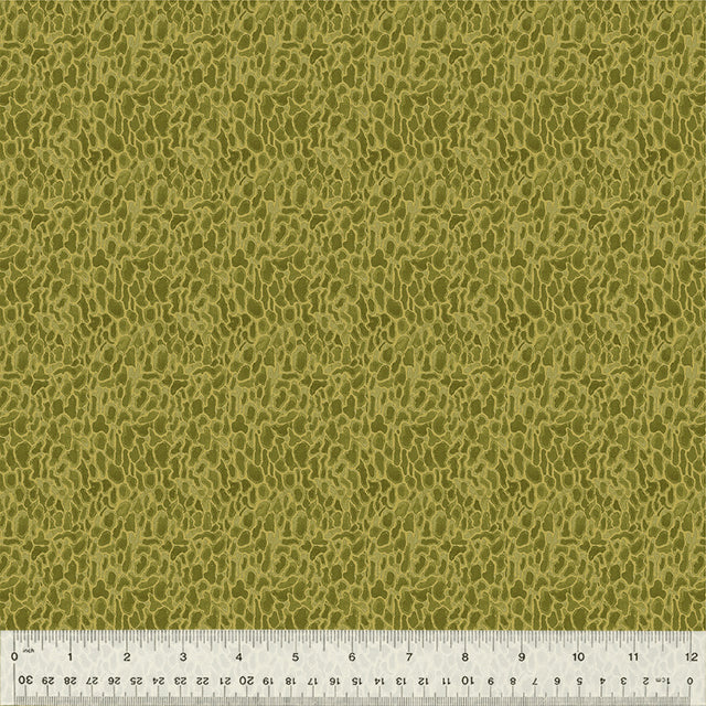 54776D-11-1-015Ud000004p6lqIAA.jpg