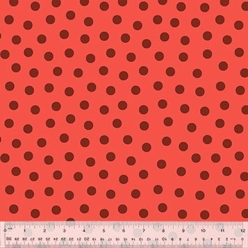 54795-1-1-015Ud000004pTdaIAE.jpg