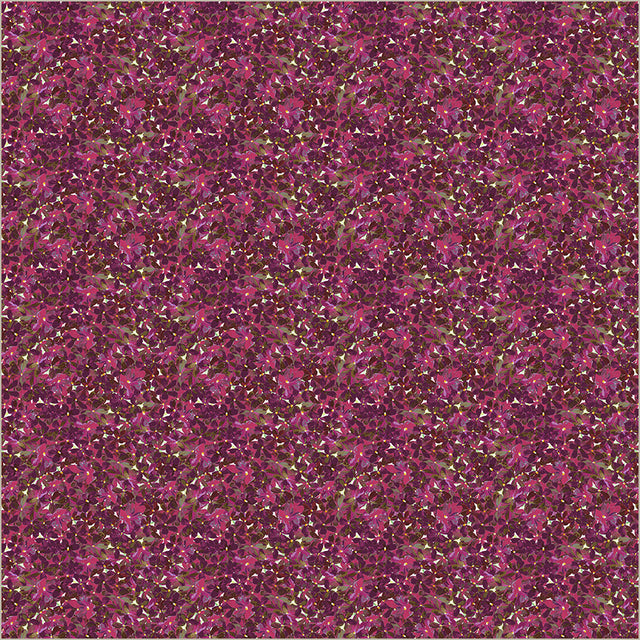 55075-8-1-015Ud00000B6YQXIA3.jpg