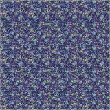 55075-9-1-015Ud00000B6YQUIA3.jpg