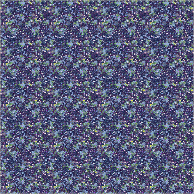 55075-9-1-015Ud00000B6YQUIA3.jpg