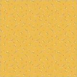 55106-10-1-015Ud00000AtGZUIA3.jpg