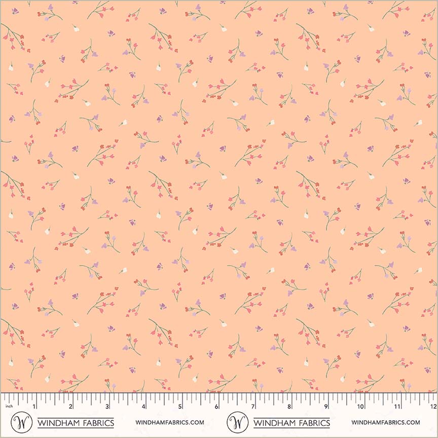 55106-11-2-015Ud00000AtLEBIA3.jpg