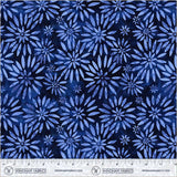55108DW-1DES-2-015Ud00000AqGUNIA3.jpg