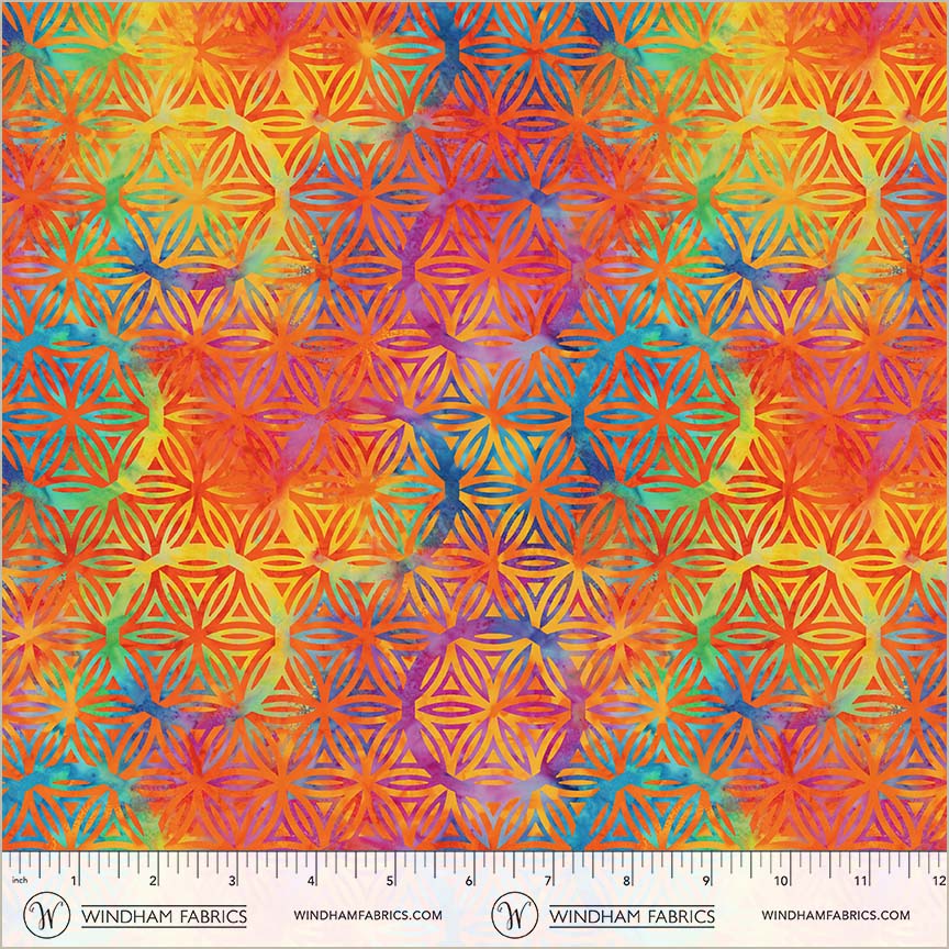 55109DW-1DES-2-015Ud00000AqCQmIAN.jpg