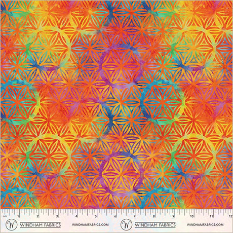 55109DW-1DES-2-015Ud00000AqCQmIAN.jpg