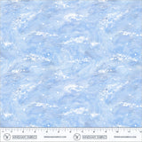 55169D-2-2-015Ud00000CNHu7IAH.jpg