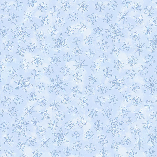 55219-9-1-015Ud00000AxH5WIAV.jpg