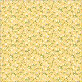 55234-10-1-015Ud00000AsqtYIAR.jpg