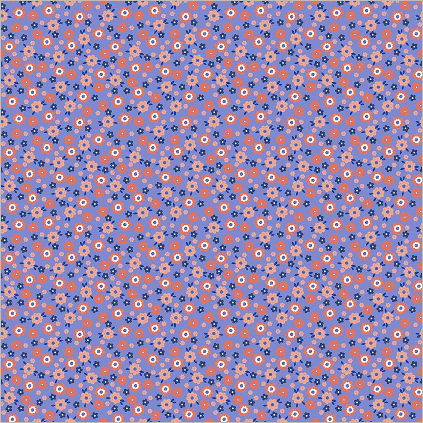 55243-5-1-015Ud00000AtGsoIAF.jpg