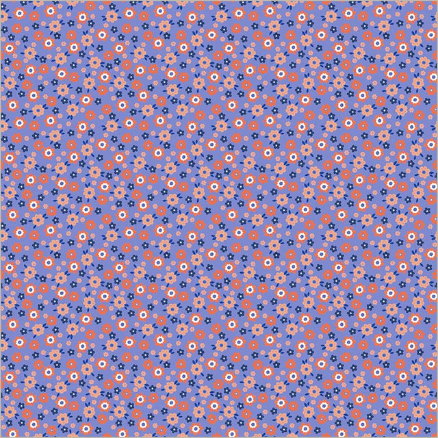 55243-5-1-015Ud00000AtGsoIAF.jpg