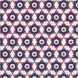55288-2-1-015Ud00000B5kOuIAJ.jpg