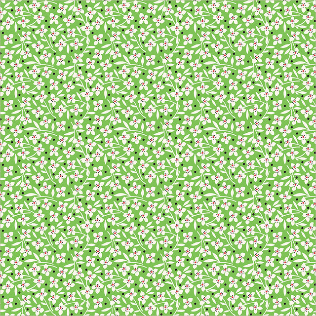 55362-4-1-015Ud00000GQjWZIA1.jpg