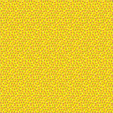 55367-1-1-015Ud00000GQllGIAT.jpg