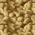 55549D-1-1-015Ud00000GQuILIA1.jpg