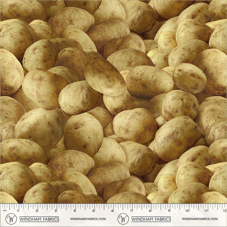 55549D-1-2-015Ud00000GQuIMIA1.jpg