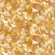 55558D-1-1-015Ud00000GQwryIAD.jpg