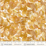 55558D-1-2-015Ud00000GQwrzIAD.jpg