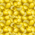 55561D-1-1-015Ud00000GQrdoIAD.jpg