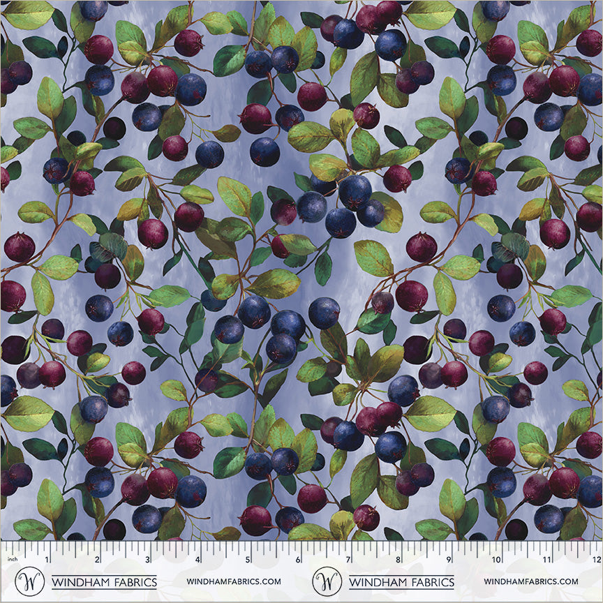 55563D-1-2-015Ud00000GQx87IAD.jpg