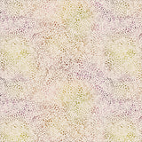 55568D-1-1-015Ud00000GQua2IAD.jpg