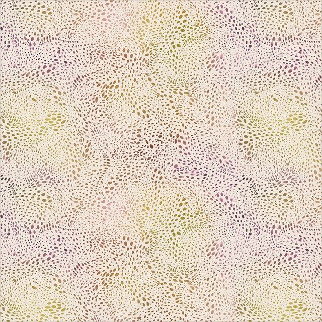 55568D-1-1-015Ud00000GQua2IAD.jpg