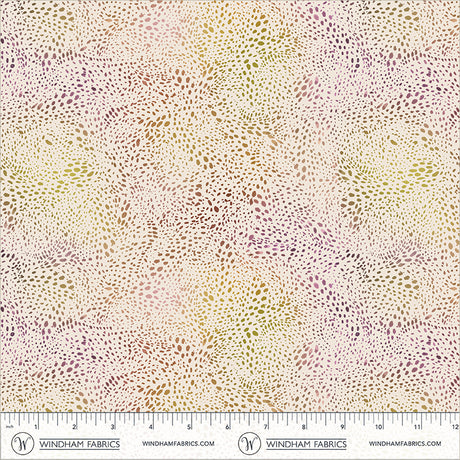 55568D-1-2-015Ud00000GQua3IAD.jpg