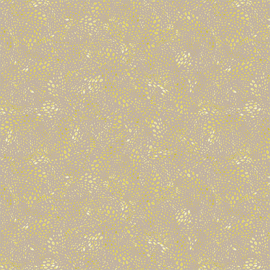 55568D-15-1-015Ud00000GQvXiIAL.jpg