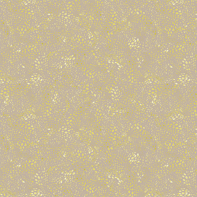55568D-15-1-015Ud00000GQvXiIAL.jpg