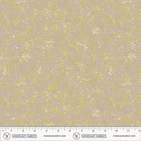 55568D-15-2-015Ud00000GQvXjIAL.jpg