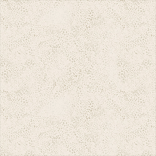 55568D-16-1-015Ud00000GQvcYIAT.jpg