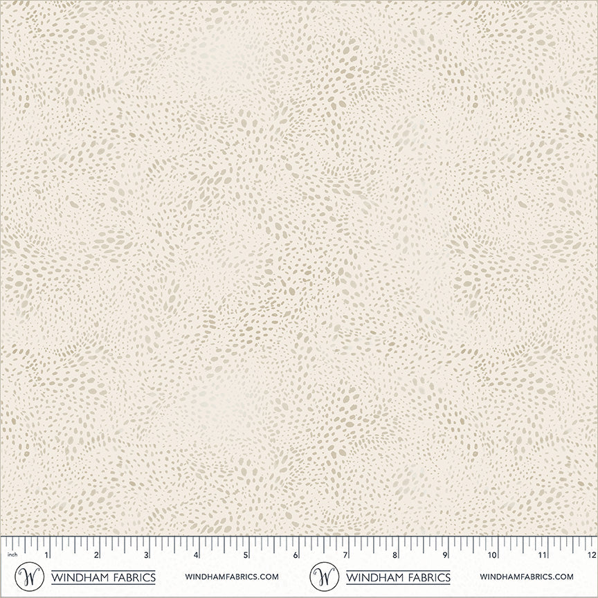 55568D-16-2-015Ud00000GQvcZIAT.jpg