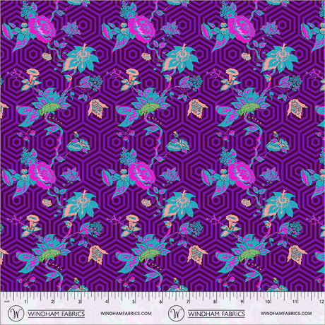 55585-2-2-015Ud00000GQiU3IAL.jpg