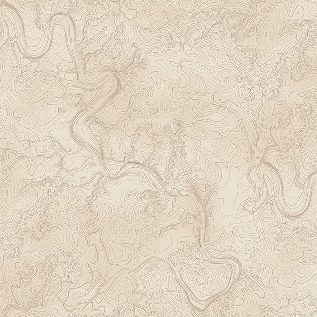 55595-4-1-015Ud00000GRBvqIAH.jpg