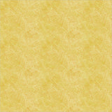 55617-10-1-015Ud00000GRkAQIA1.jpg