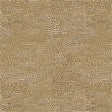 55651-8-1-015Ud00000GQkR0IAL.jpg