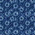 55664-2-1-015Ud00000GR9MAIA1.jpg
