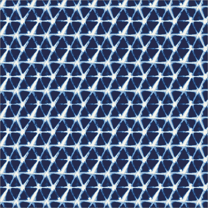 55671-2-1-015Ud00000GR9sQIAT.jpg