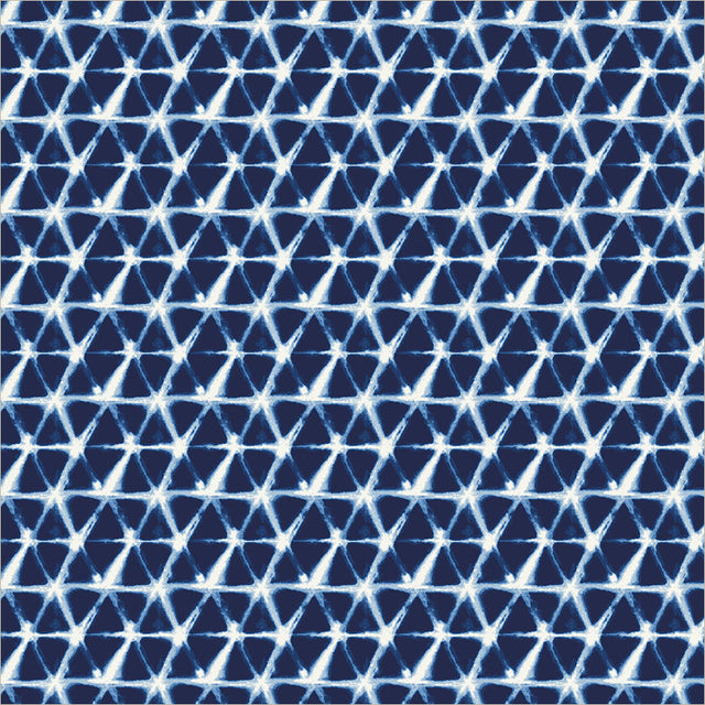 55671-2-1-015Ud00000GR9sQIAT.jpg