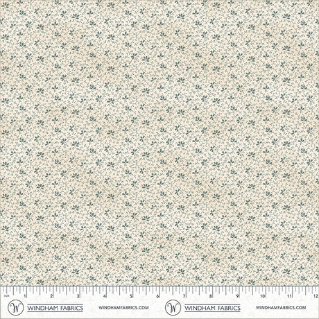 55697-1-2-015Ud00000GR7aVIAT.jpg