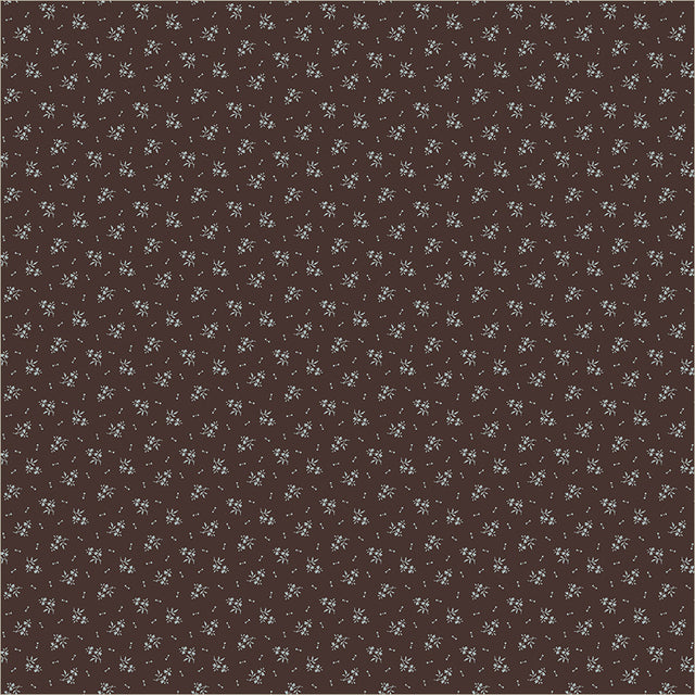 55698-3-1-015Ud00000GR6WNIA1.jpg
