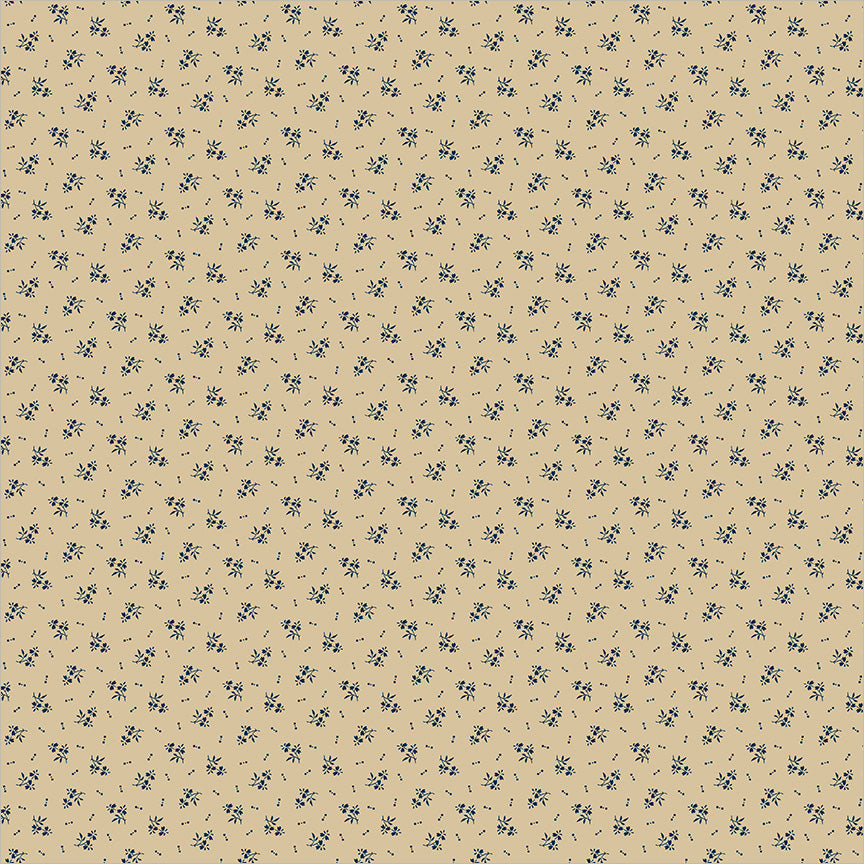 55698-8-1-015Ud00000GR83WIAT.jpg