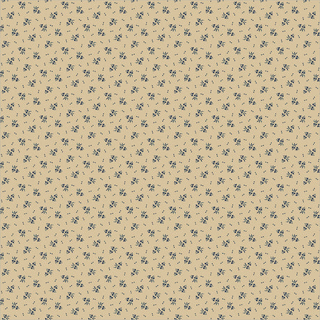 55698-8-1-015Ud00000GR83WIAT.jpg